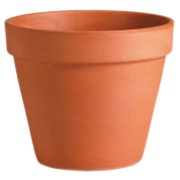 DEROMA saksija glinena Vaso Standard 31cm
