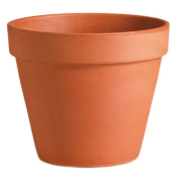 DEROMA saksija glinena Vaso Standard 43cm