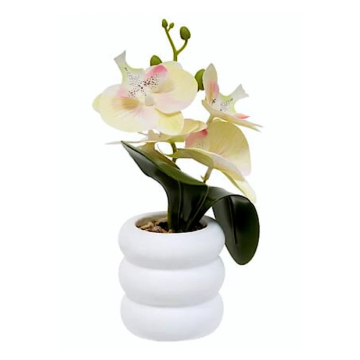 ATMOSPHERA orhideja Mick 25cm sorto