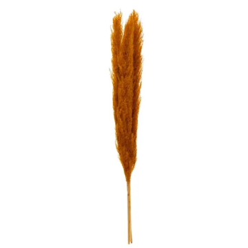 ATMOSPHERA grana umjetna pampas trava oker 11x11x109cm