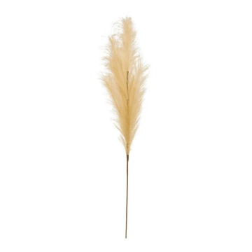 ATMOSPHERA trava pampas Adna 90cm bež