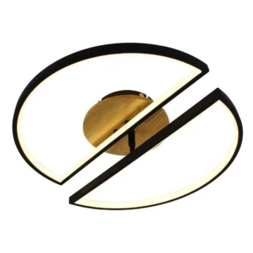 VIDIK RASVJETA plafonjera ESL-C23004T 75W sa daljinskim