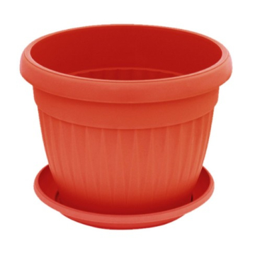 SAKSIJA Mediteran Fi 12cm sorto boja