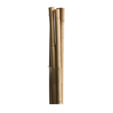 WINDGAHER štap za biljke trska 60cm 6mm 10/1