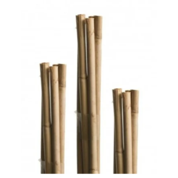 WINDHAGER štap za biljke trska 120cm 9mm 5/1