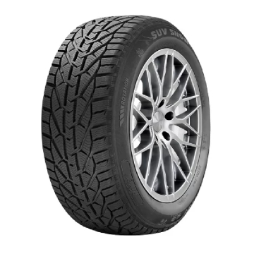 RIKEN SNOW guma 205/55 R16 94H XL zima