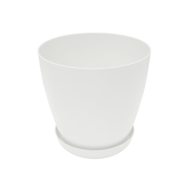 SAKSIJA altea fi22cm sorto boja