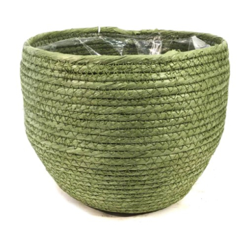 SAKSIJA ukrasna Jork zelena FI 22cm