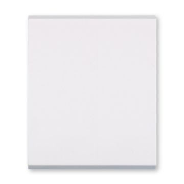 ALING CONEL prekidač naizmjenični 2M 10A