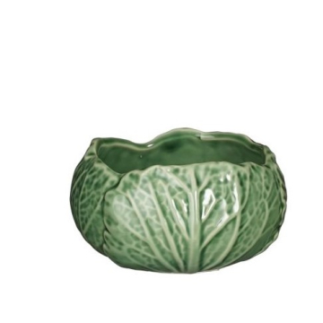 SAKSIJA ukrasna kupus zeleni FI12cm