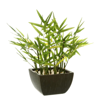 BILJKA umjetna Bambus H35cm