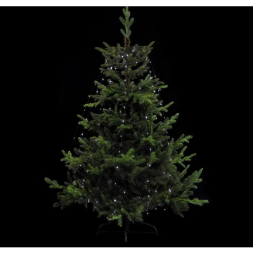 FÉÉRIC LIGHTS & CHRISTMAS lampice za jelku sa 232 LED hladno bijelih sijalica