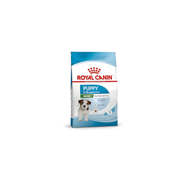 ROYAL CANIN hrana za pse Royal Mini Junior 2kg