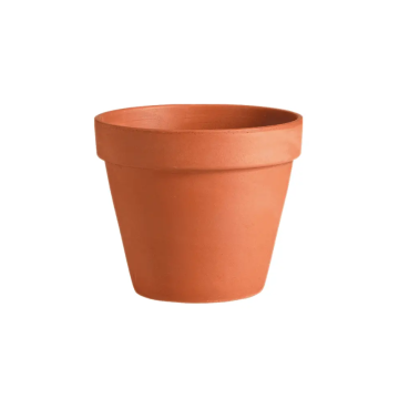DEROMA saksija glinena Vaso Standard 4 cm