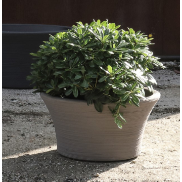 SAKSIJA Narsico ovalna 65cm greystone