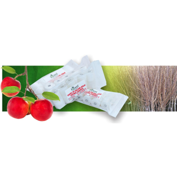 TRAKA za kalemljenje streč 30mmx50m Vizant