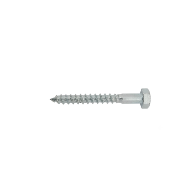 FRIULSIDER vijak zn 10x250 din 571