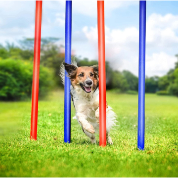 SLALOM set za psa 60 x 3 cm u torbi