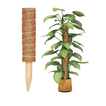 DECOSTRONG kokosov štap za biljke H30cm FI4cm