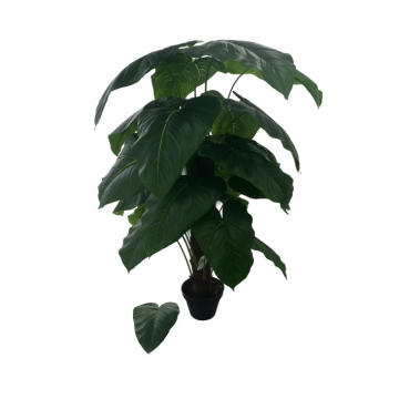 BILJKA umjetna  Caladium H100cm