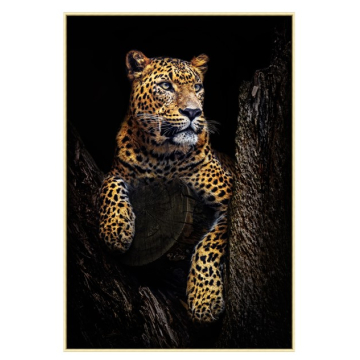 SLIKA Leopard 50x70cm