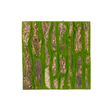 DEKORACIJA kora i mahovina 50x50cm