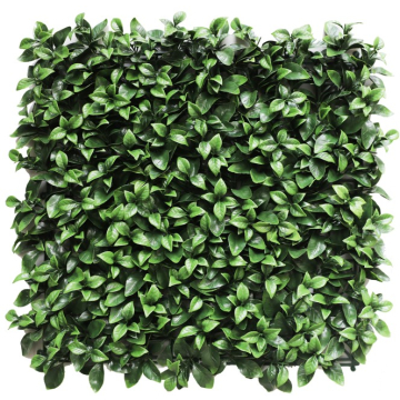 DECOSTRONG dekoracija umjetna Gardenia 50x50cm
