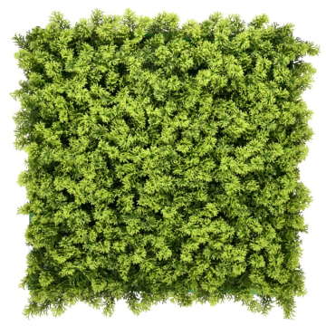 DECOSTRONG dekoracija umjetna Houttuynia 50x50cm