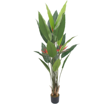 DECOSTRONG biljka umjetna Strelicija u saksiji H180cm