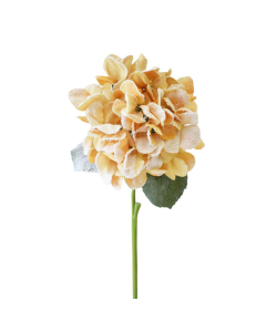 GRANA umjetna hortenzija boja meda 63cm