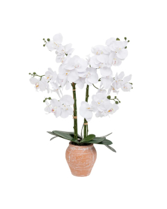 ATMOSPHERA orhideja bijela umjetna u terakota saksiji H65cm