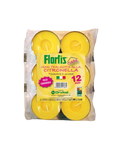 FLORTIS lučice vrtne Citronela Maxi 12/1