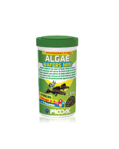 PRODAC hrana za algare biljna 100ml